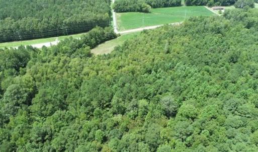 Photo of SOLD!!  13.67 Acres of Timber and Recreational Land For Sale in Cumberland County NC!