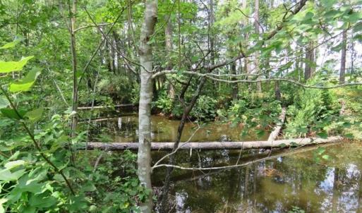 Photo of UNDER CONTRACT!!  5.22 Acres of Residential and Recreational Land For Sale in Robeson County NC!