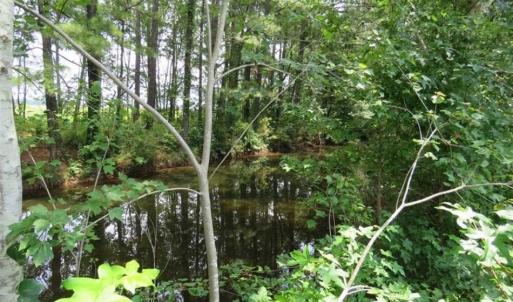 Photo of UNDER CONTRACT!!  5.22 Acres of Residential and Recreational Land For Sale in Robeson County NC!