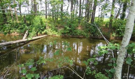 Photo of UNDER CONTRACT!!  5.22 Acres of Residential and Recreational Land For Sale in Robeson County NC!