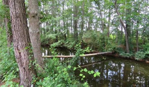 Photo of UNDER CONTRACT!!  5.22 Acres of Residential and Recreational Land For Sale in Robeson County NC!