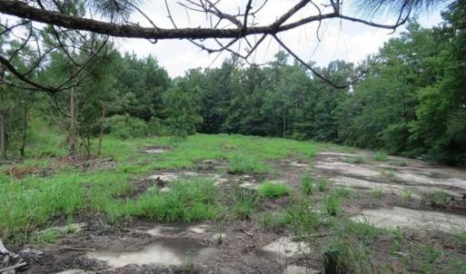 Photo of UNDER CONTRACT!!  5.22 Acres of Residential and Recreational Land For Sale in Robeson County NC!