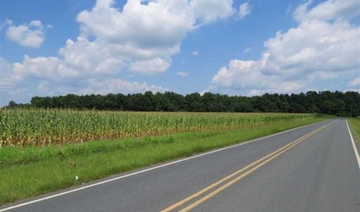 Photo of SOLD!!  30 Acres of Residential Farm and Timber Land For Sale in Robeson County NC!