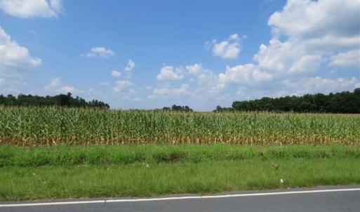 Photo of SOLD!!  30 Acres of Residential Farm and Timber Land For Sale in Robeson County NC!