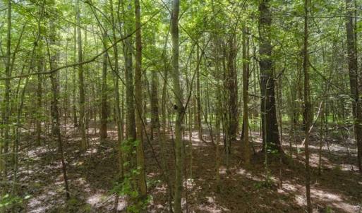 Photo of SOLD!!  10.01 Acre Homesite For Sale in Orange County NC!