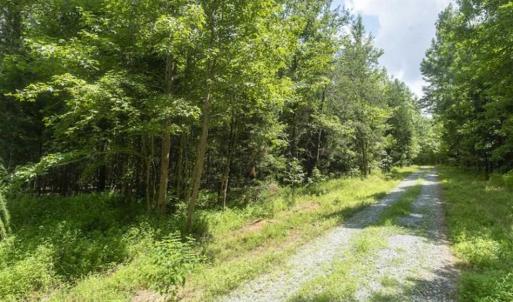 Photo of SOLD!!  10.01 Acre Homesite For Sale in Orange County NC!