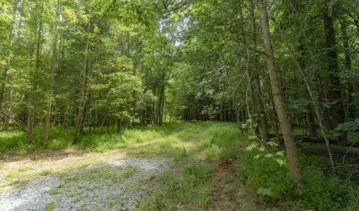 Photo of SOLD!!  10.01 Acre Homesite For Sale in Orange County NC!