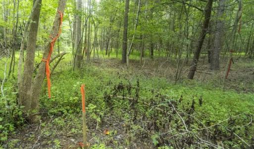 Photo of SOLD!!  10.01 Acre Homesite For Sale in Orange County NC!
