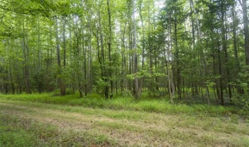 Photo of SOLD!!  10.01 Acre Homesite For Sale in Orange County NC!