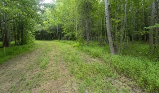 Photo of SOLD!!  10.01 Acre Homesite For Sale in Orange County NC!