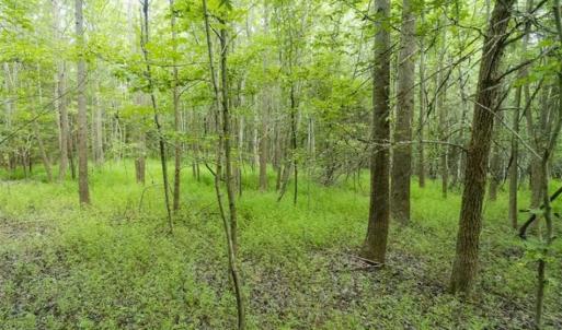 Photo of SOLD!!  10.01 Acre Homesite For Sale in Orange County NC!