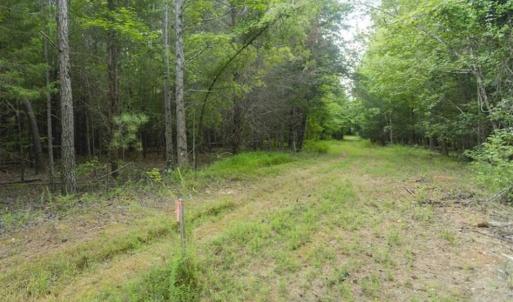 Photo of UNDER CONTRACT!!  18.42 Acre Homesite For Sale in Orange County NC!