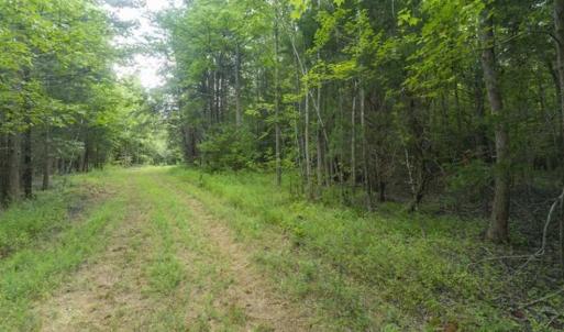 Photo of UNDER CONTRACT!!  18.42 Acre Homesite For Sale in Orange County NC!