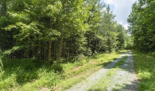 Photo of UNDER CONTRACT!!  18.42 Acre Homesite For Sale in Orange County NC!