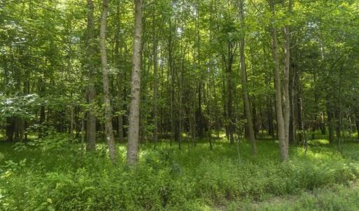 Photo of UNDER CONTRACT!!  18.42 Acre Homesite For Sale in Orange County NC!