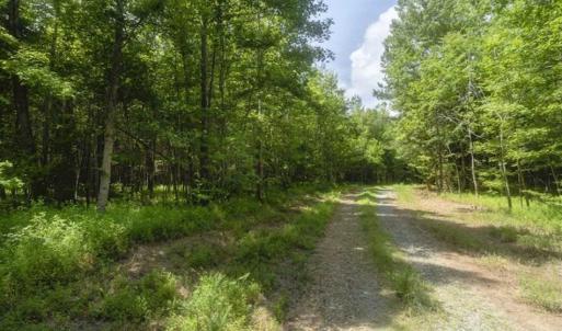 Photo of UNDER CONTRACT!!  18.42 Acre Homesite For Sale in Orange County NC!