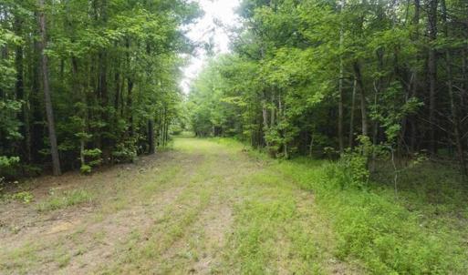 Photo of UNDER CONTRACT!!  18.42 Acre Homesite For Sale in Orange County NC!