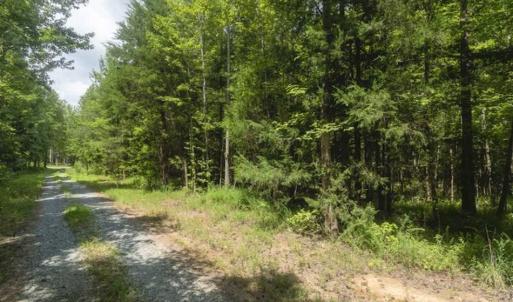 Photo of UNDER CONTRACT!!  18.42 Acre Homesite For Sale in Orange County NC!