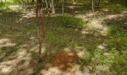 Photo of UNDER CONTRACT!!  18.42 Acre Homesite For Sale in Orange County NC!