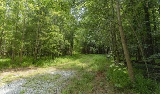 Photo of UNDER CONTRACT!!  18.42 Acre Homesite For Sale in Orange County NC!