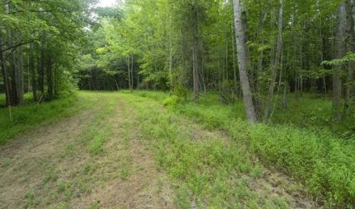 Photo of UNDER CONTRACT!!  18.42 Acre Homesite For Sale in Orange County NC!