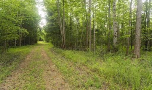 Photo of UNDER CONTRACT!!  18.42 Acre Homesite For Sale in Orange County NC!
