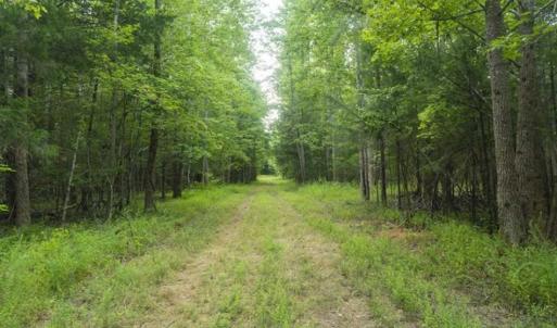 Photo of UNDER CONTRACT!!  18.42 Acre Homesite For Sale in Orange County NC!