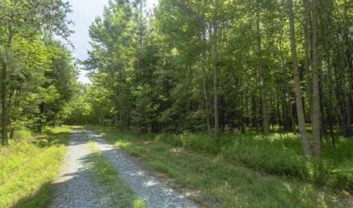 Photo of UNDER CONTRACT!!  18.42 Acre Homesite For Sale in Orange County NC!