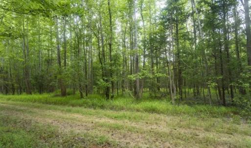 Photo of UNDER CONTRACT!!  18.42 Acre Homesite For Sale in Orange County NC!