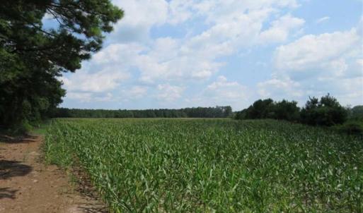 Photo of SOLD!!  20 Acres of Farm Land For Sale in Robeson County NC!