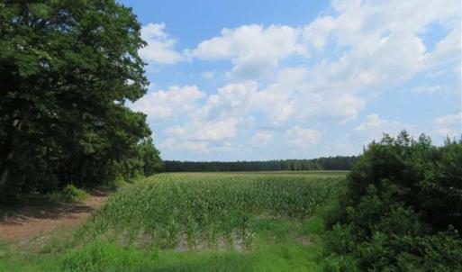 Photo of SOLD!!  20 Acres of Farm Land For Sale in Robeson County NC!