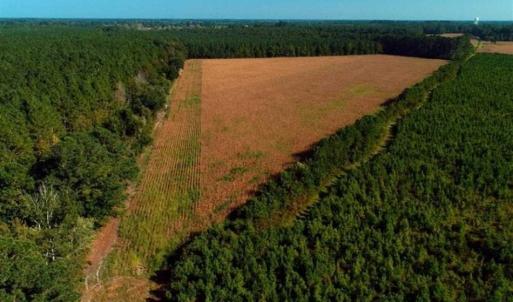 Photo of SOLD!!  20 Acres of Farm Land For Sale in Robeson County NC!