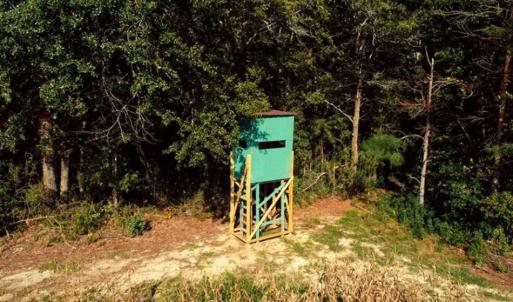 Photo of SOLD!!  20 Acres of Farm Land For Sale in Robeson County NC!