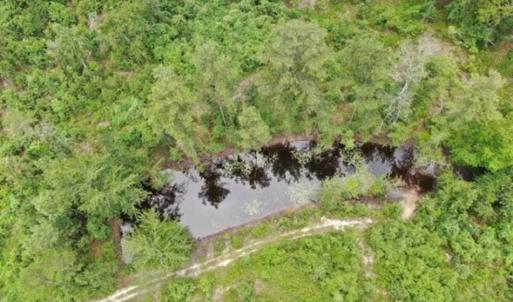 Photo of 107 Acres of  Development and Timber Land For Sale in Hoke County NC!