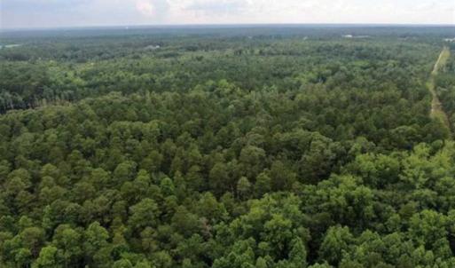 Photo of 107 Acres of  Development and Timber Land For Sale in Hoke County NC!