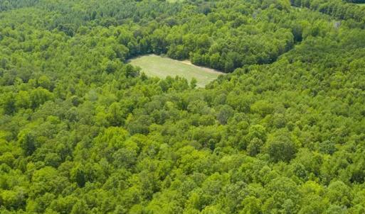 Photo of UNDER CONTRACT!!  85.62 +/- Acres of Hunting and Farm Land For Sale in Person County NC!