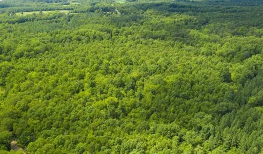 Photo of UNDER CONTRACT!!  85.62 +/- Acres of Hunting and Farm Land For Sale in Person County NC!