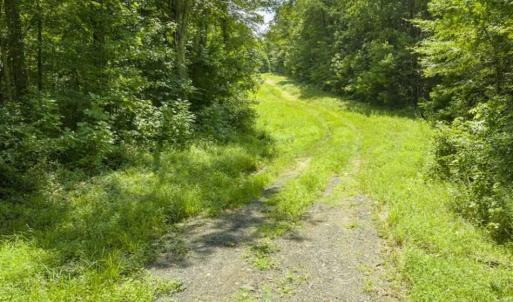 Photo of UNDER CONTRACT!!  85.62 +/- Acres of Hunting and Farm Land For Sale in Person County NC!