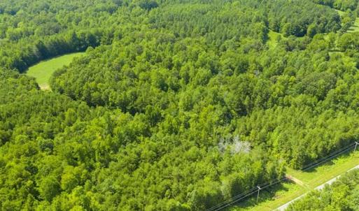 Photo of UNDER CONTRACT!!  85.62 +/- Acres of Hunting and Farm Land For Sale in Person County NC!