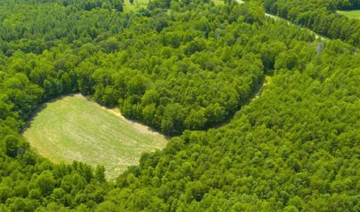 Photo of UNDER CONTRACT!!  85.62 +/- Acres of Hunting and Farm Land For Sale in Person County NC!