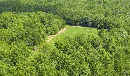 Photo of UNDER CONTRACT!!  85.62 +/- Acres of Hunting and Farm Land For Sale in Person County NC!