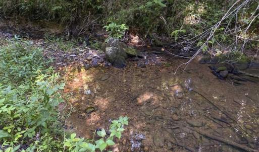 Photo of UNDER CONTRACT!!  85.62 +/- Acres of Hunting and Farm Land For Sale in Person County NC!