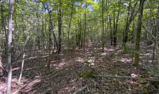 Photo of UNDER CONTRACT!!  85.62 +/- Acres of Hunting and Farm Land For Sale in Person County NC!