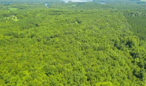 Photo of UNDER CONTRACT!!  85.62 +/- Acres of Hunting and Farm Land For Sale in Person County NC!