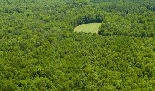 Photo of UNDER CONTRACT!!  85.62 +/- Acres of Hunting and Farm Land For Sale in Person County NC!