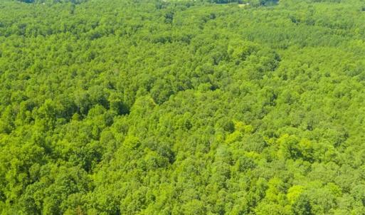 Photo of UNDER CONTRACT!!  85.62 +/- Acres of Hunting and Farm Land For Sale in Person County NC!