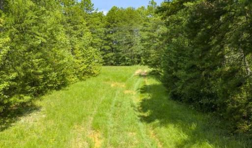 Photo of UNDER CONTRACT!!  85.62 +/- Acres of Hunting and Farm Land For Sale in Person County NC!
