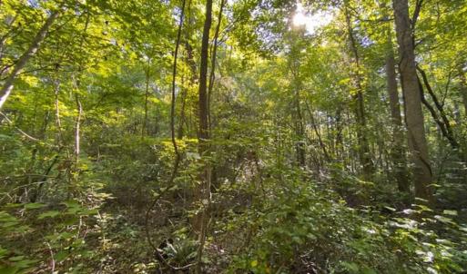 Photo of UNDER CONTRACT!!  85.62 +/- Acres of Hunting and Farm Land For Sale in Person County NC!