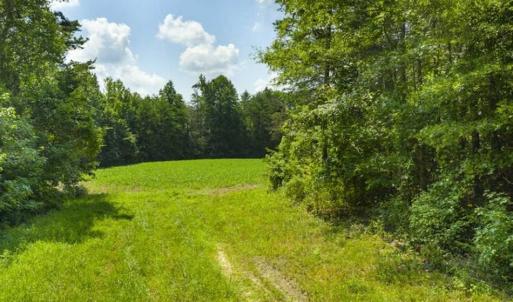 Photo of UNDER CONTRACT!!  85.62 +/- Acres of Hunting and Farm Land For Sale in Person County NC!