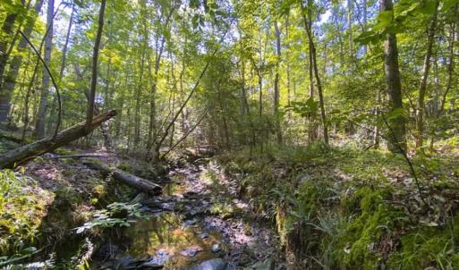 Photo of UNDER CONTRACT!!  85.62 +/- Acres of Hunting and Farm Land For Sale in Person County NC!